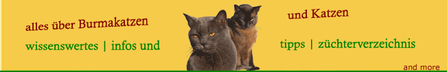 alles über Burmakatzen und Katzen | Katzenkrankheiten | wissenswertes | infos | tipps | züchterverzeichnis ... and more