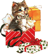 Geschenkkatze